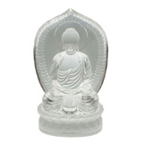 禪修釋迦牟尼佛